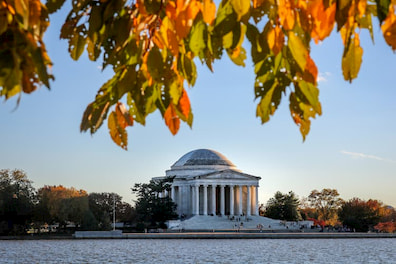 Guide to the Perfect Autumn Weekend in D.C.